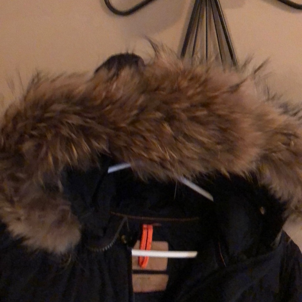 Winter coat - Picture 4 of 6